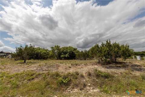162 Scarlet Court Court, Canyon Lake, TX 78133
