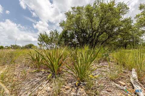 162 Scarlet Court Court, Canyon Lake, TX 78133