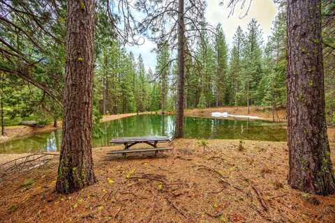 15743 Hwy 66, Ashland, OR 97520