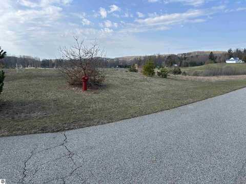 Lot 13 Hillman Road, Ellsworth, MI 49729