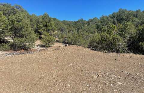 Adjacent Monte Lindo Rd, Taos, NM 87571