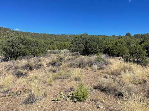 Adjacent Monte Lindo Rd, Taos, NM 87571