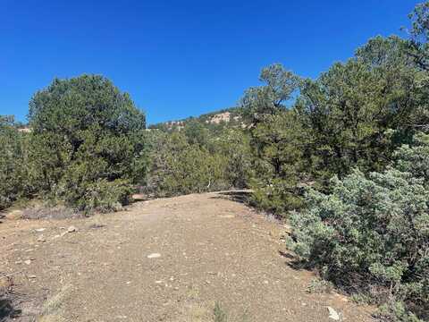 Adjacent State Hwy 518, Taos, NM 87571