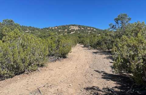Adjacent Monte Lindo Rd, Taos, NM 87571