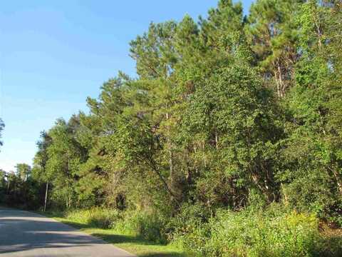 Tram Southwest Road, Greenville, FL 32331