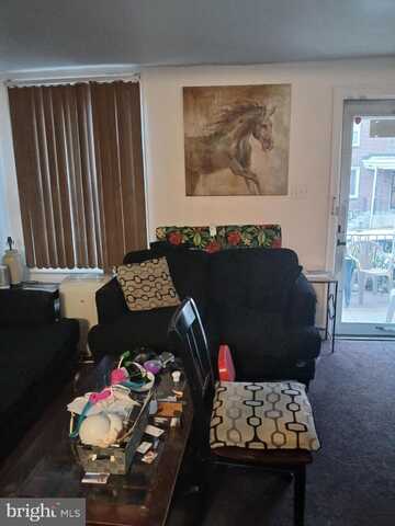 209 SPARKS STREET, PHILADELPHIA, PA 19120