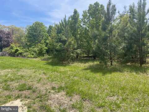0 BANKS ROAD, MILLSBORO, DE 19966