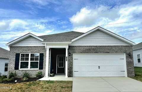 1908 Fox Meadows Circle, Bluff City, TN 37618