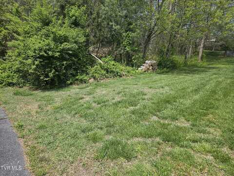 0 Arnold Palmer Dr, Greeneville, TN 37743