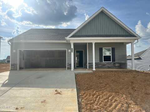 310 Cookie Loop, Gray, TN 37615