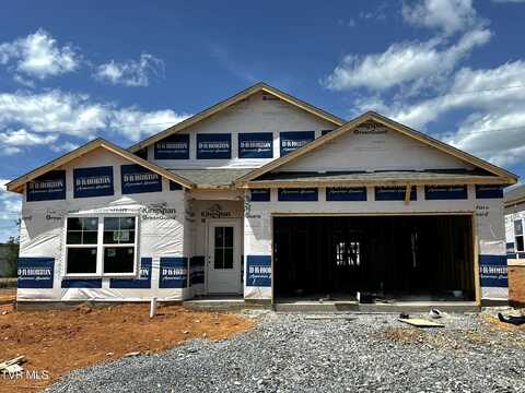 1914 Fox Meadows Circle, Bluff City, TN 37618