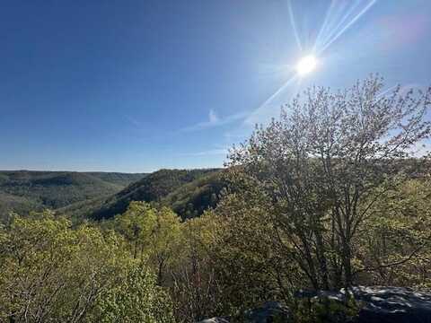 Lot BCD Hood Lane, WILDER, TN 38589
