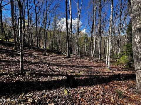 131 Pineridge Loop, CROSSVILLE, TN 38558