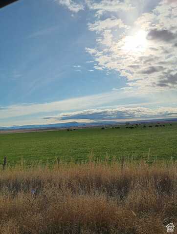 4962 S HIGHWAY 88 S, Randlett, UT 84063