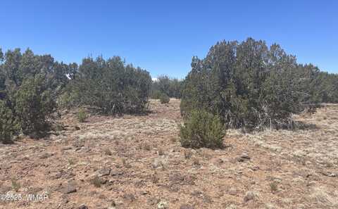 148 Alaska Avenue, Concho, AZ 85924