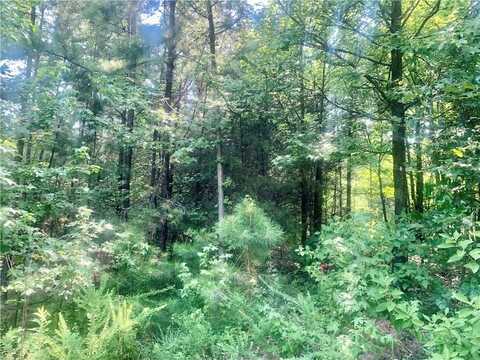 Doe LN, Dover, AR 72837