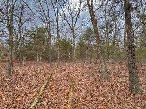 0 Bells Chapel Road, Atkins, AR 72823