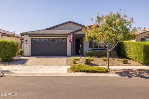 10203 E REVOLUTION Drive, Mesa, AZ 85212