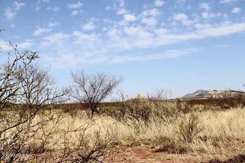 1113a W Purdy Lane, Bisbee, AZ 85603