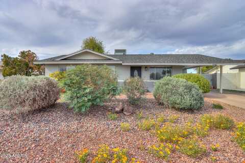 1238 W CARLA VISTA Drive, Chandler, AZ 85224