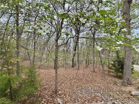 Lot 371 Cornette Cove #2, Lake Ozark, MO 65049