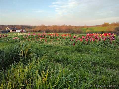 19606 Tuttle Road, Out Of Area (LOBR), MO 65025