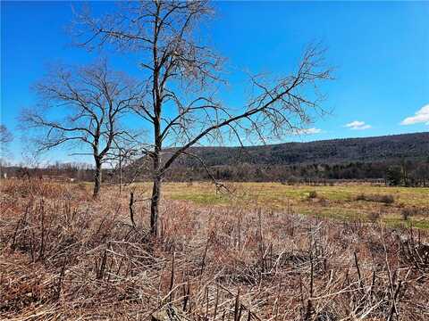 3214 State Highway 28, Milford, NY 13834