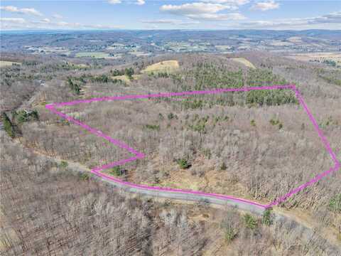 Bald Hill School Road, Caroline, NY 14817