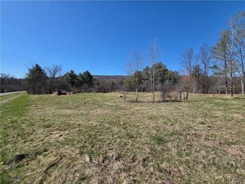 2090 Carley Brace Road, Barrington, NY 14837
