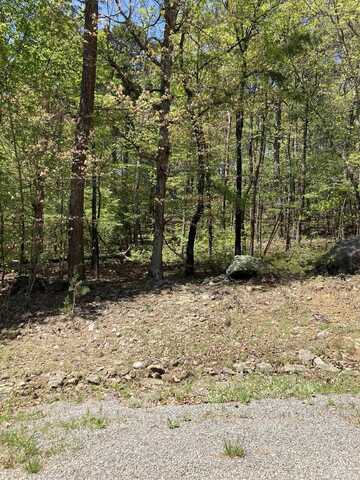 Lot 264 block22 Persimmon Rd, Fairfield Bay, AR 72088
