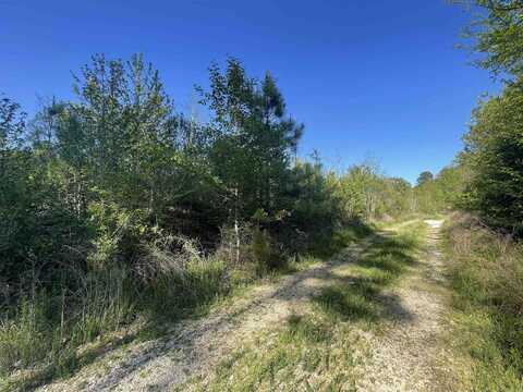 Lot 10 Wilson Lake Lane, Hot Springs, AR 71901