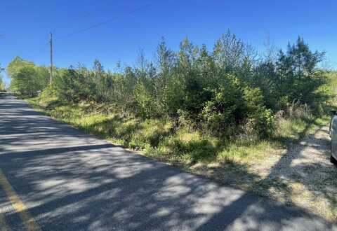 Lot 4 Wilson Lake Lane, Hot Springs, AR 71901