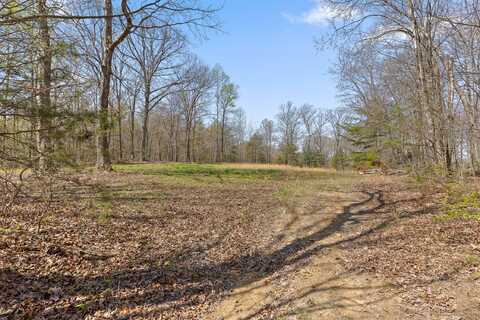17.65 Acres Blaine Smith Road, Graysville, TN 37338