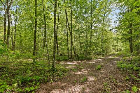 10 Acres Blaine Smith Road, Graysville, TN 37338