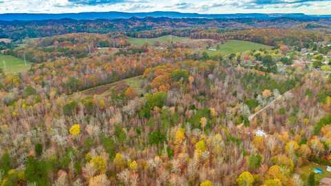 Lot 4 Pine Farm Drive, La Fayette, GA 30728