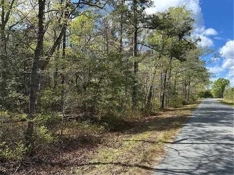 00 Briery Swamp, Jamaica, VA 23079