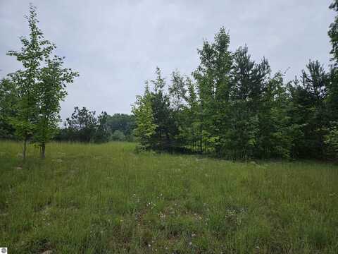 0000 V/L "C" GRASS LAKE ROAD, KALKASKA, MI 49646