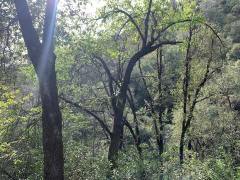 1885 Pennsylvania Gulch Road, Murphys, CA 95247