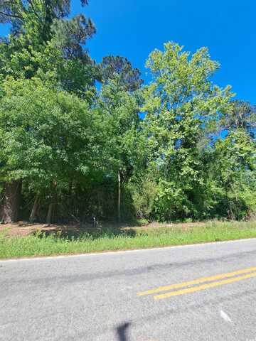 TBD Bucksport Rd., Conway, SC 29527