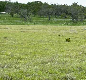 LOT7 Ranch Rd 783, Harper, TX 78631