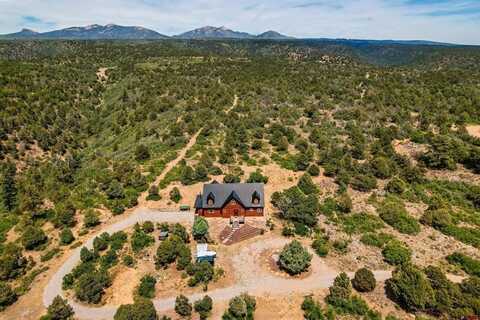 4717 De Oro Way, Hesperus, CO 81326