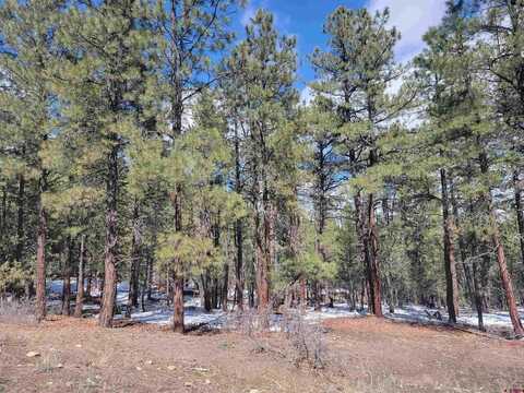 X Echo Lake Access Easement, Pagosa Springs, CO 81147