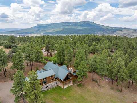 473 N Black Bear Place, Pagosa Springs, CO 81147