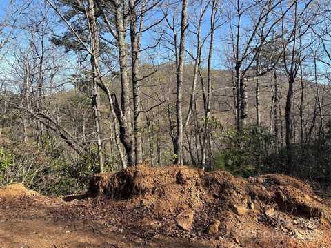 Kathy Lake Drive unit: 24/25, Edneyville, NC 28792