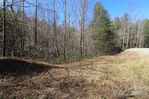 V/L Black Hills Drive unit: 26, Collettsville, NC 28611