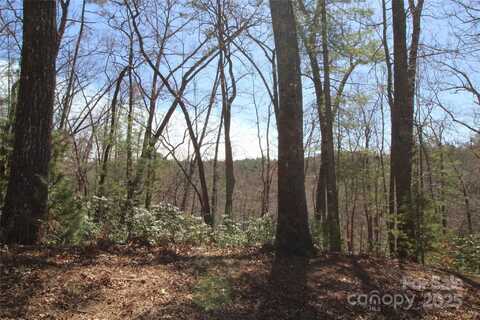 V/L Heartwood Forest Drive unit: 26 & 27, Collettsville, NC 28611