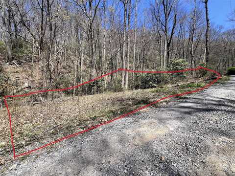 Pisgah Mountain Road, Canton, NC 28716