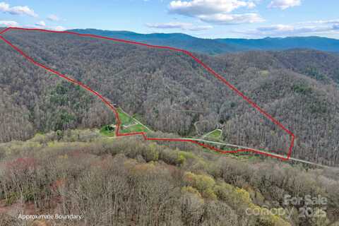8020 Meadow Fork Road, Hot Springs, NC 28743