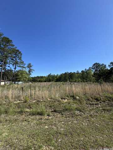 726 Spring Pond Road, Bonneau, SC 29431