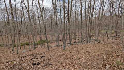 Lot 4 Collie Brook Road, East Hampton, CT 06424